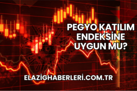 Pegyo Katılım Endeksine Uygun mu?