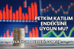 Petkim Katılım Endeksine Uygun mu?