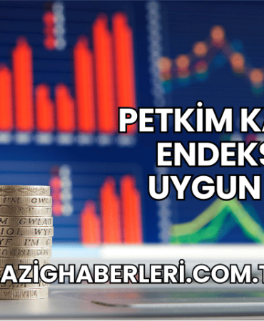 Petkim Katılım Endeksine Uygun mu?
