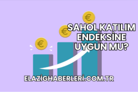 SAHOL Katılım Endeksine Uygun mu?