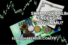 SKYMAD Katılım Endeksine Uygun mu?