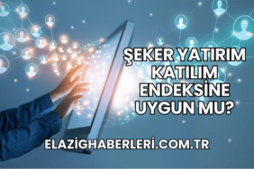 Şeker Yatırım Katılım Endeksine Uygun mu?