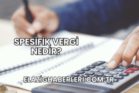 Spesifik Vergi Nedir?