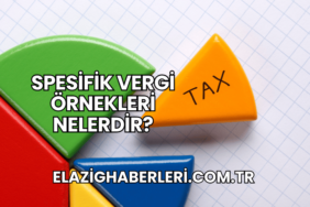Spesifik Vergi Örnekleri Nelerdir?