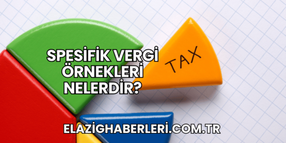 Spesifik Vergi Örnekleri Nelerdir?