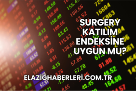 Surgery Katılım Endeksine Uygun mu?