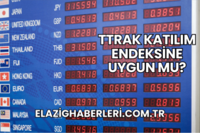 TTRAK Katılım Endeksine Uygun mu?