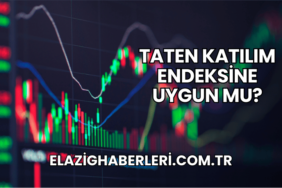 Taten Katılım Endeksine Uygun mu?