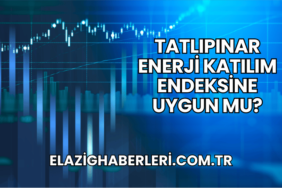 Tatlıpınar Enerji Katılım Endeksine Uygun mu?