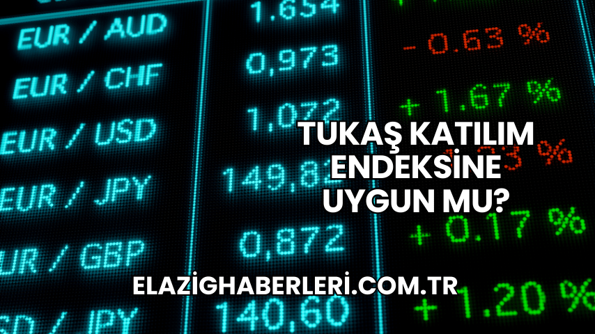 Tukaş Katılım Endeksine Uygun mu?