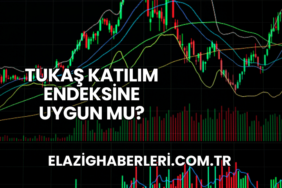 Tukaş Katılım Endeksine Uygun mu?