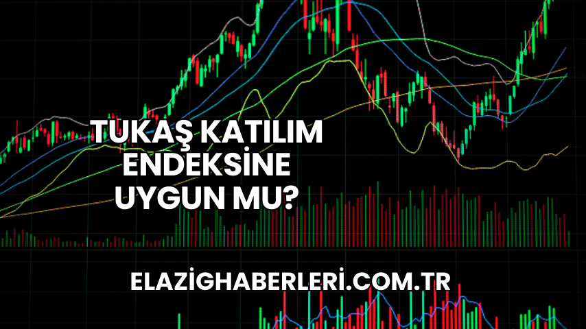 Tukaş Katılım Endeksine Uygun mu?