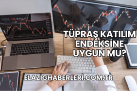 Tüpraş Katılım Endeksine Uygun mu?