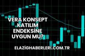 Vera Konsept Katılım Endeksine Uygun mu?