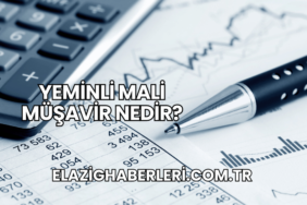 Yeminli Mali Müşavir Nedir?