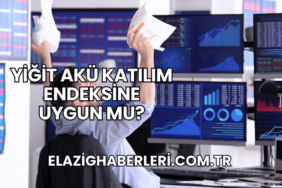 Yiğit Akü Katılım Endeksine Uygun mu?
