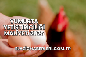 Yumurta Yetiştiriciliği Maliyeti 2025