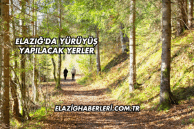 Elazığ'da Yürüyüş Yapılacak Yerler