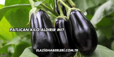 Patlıcan Kilo Aldırır mı?