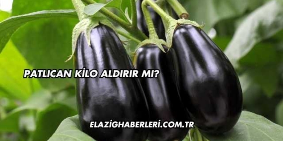 Patlıcan Kilo Aldırır mı?