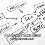 Google Bilgi Paneli Nedir?