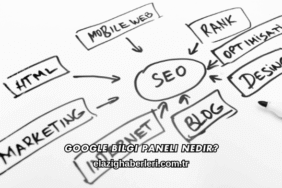 Google Bilgi Paneli Nedir?